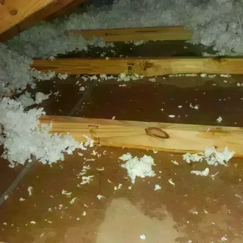 Attic Water Damage in McArthur, OH